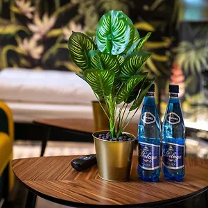  Apartament Jungle Podwale